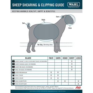 Sheep Blade Usage Guide